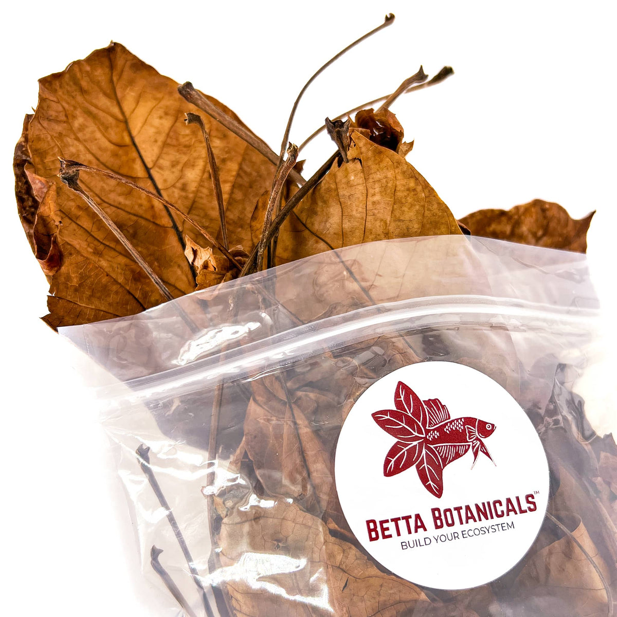 Pile of brown, tan, and amber Persian walnut leaf litter for aquariums and terrariums in clear sustainable packaging by Betta Botanicals.